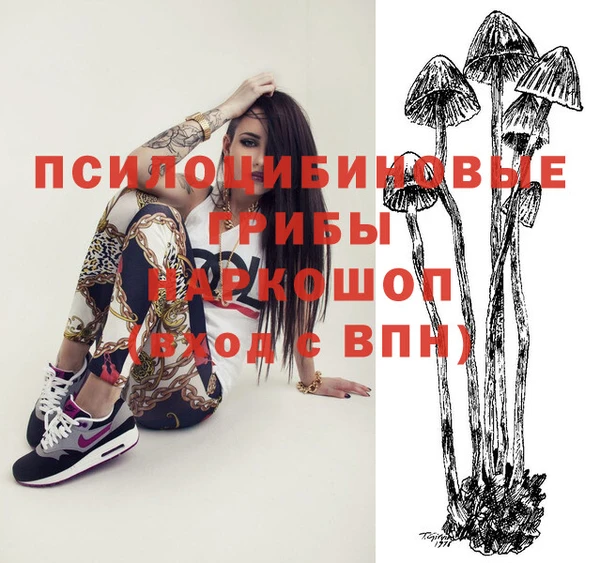 a pvp Балабаново