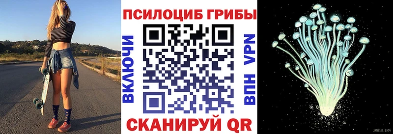 Псилоцибиновые грибы прущие грибы  купить наркотики сайты  OMG   Староминская 